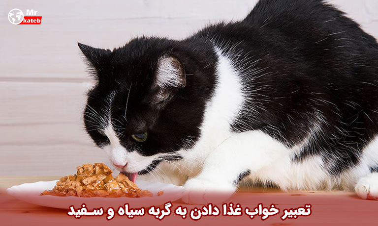 تعبیر خواب غذا دادن به گربه سیاه و سفید