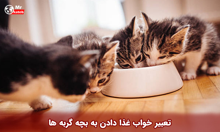 تعبیر خواب غذا دادن به بچه گربه ها